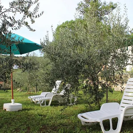 Apartment Olea *