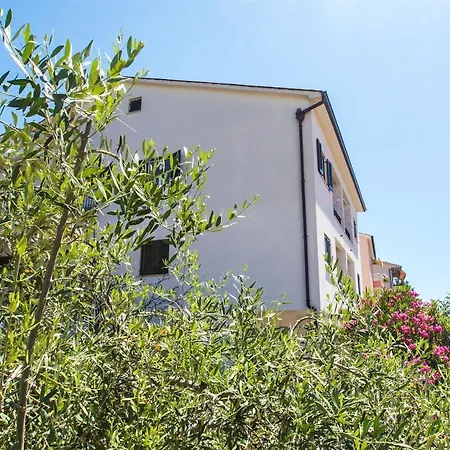 Olea Apartment
