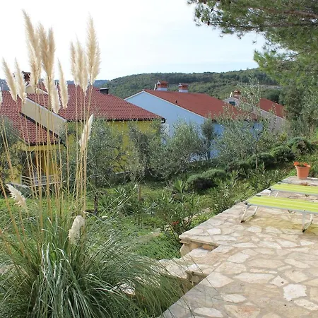 Olea Rabac