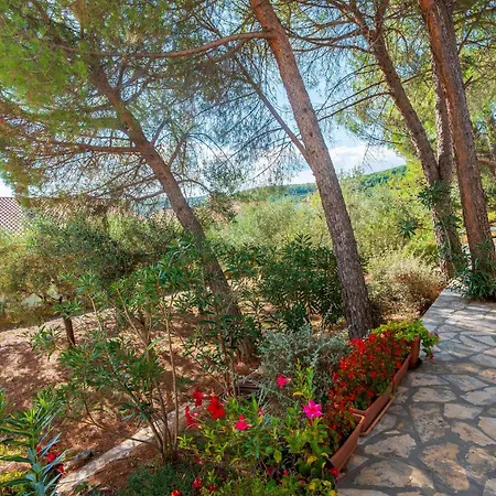 Apartament Iris